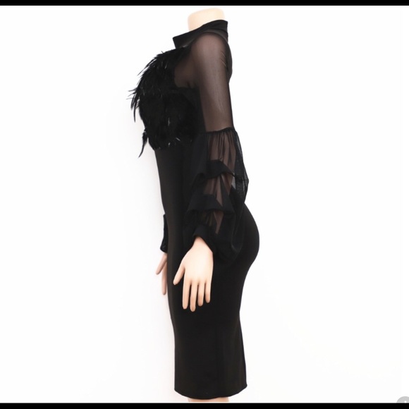 Feathered Black Dress - Picture 2 of 8